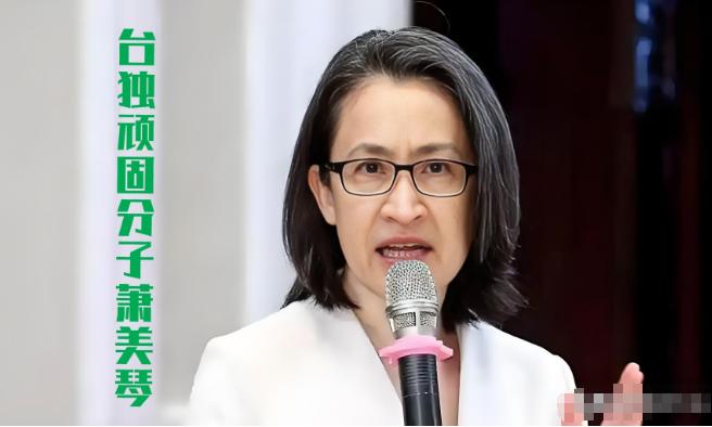 提前对萧美琴进行全球通缉！最近，台湾地区副领导人萧美琴突然出现在欧洲议会，搞