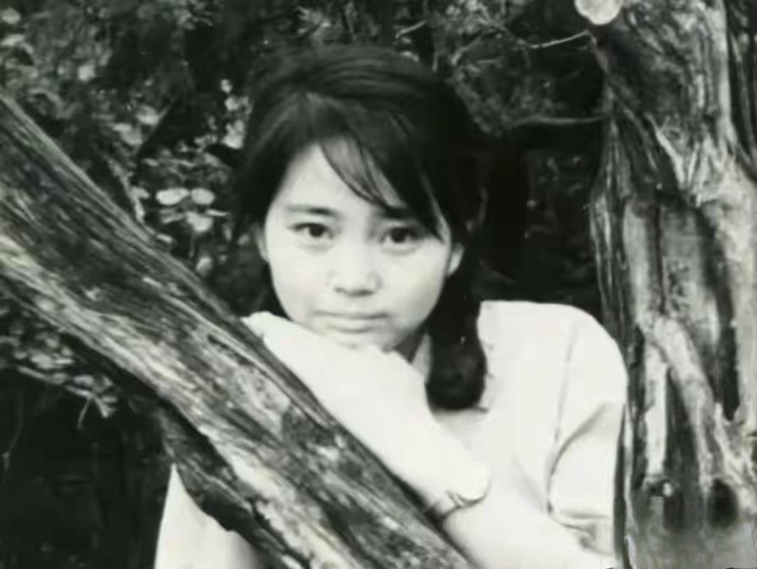 老知青马未都：我和岳父结过大怨，解开心结用了半辈子这话从老马嘴里说出来，轻飘