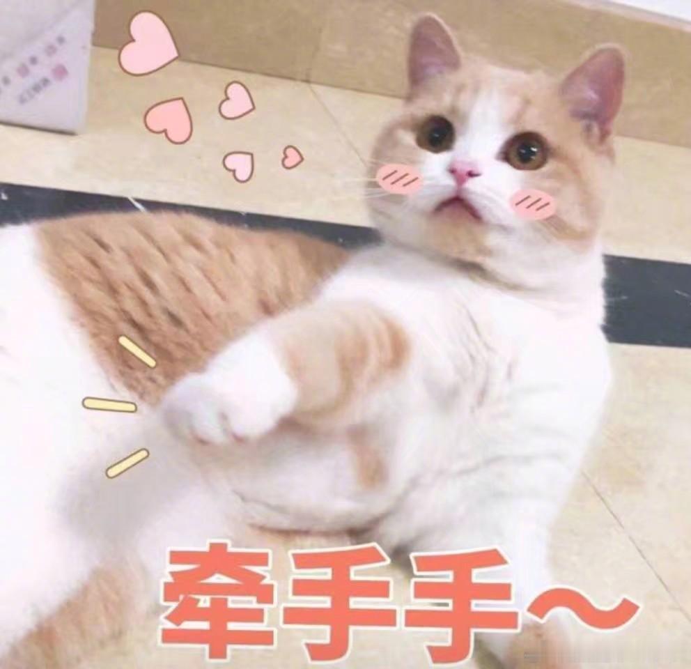 12星座“最好谈”排行榜：第一名射手：尊重彼此自由，相处轻松自在第二名水瓶：包容