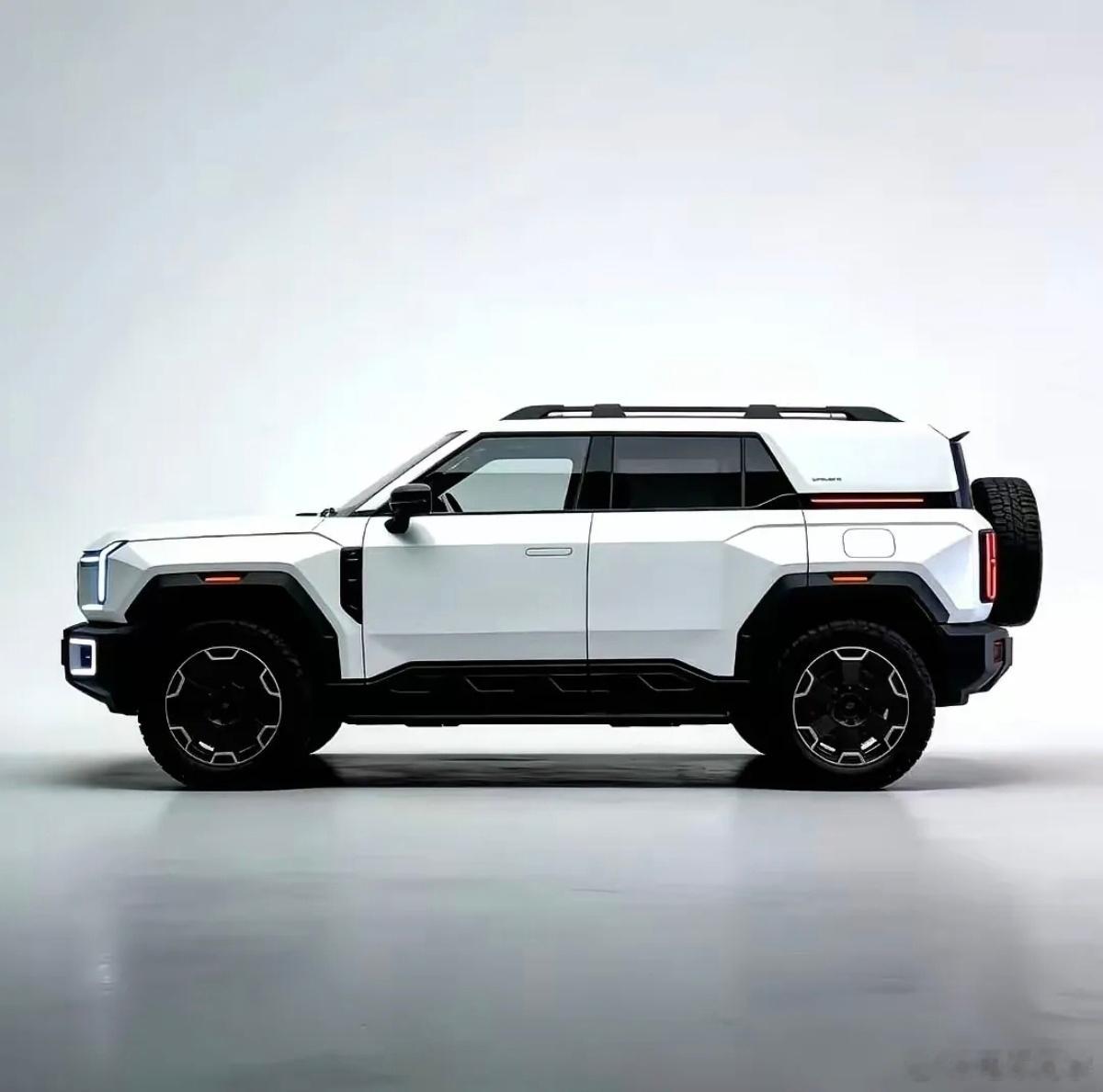 方程豹这儿流出了张钛9的图，然后看到好多朋友在讨论它应该叫“钛9”，还是“豹9”