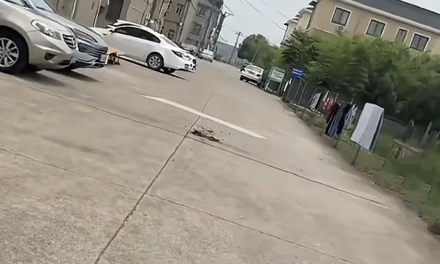 #你问我答#记得小时候，常常可以看到路上有中药渣，大人告诫说要绕道走，没想到现在