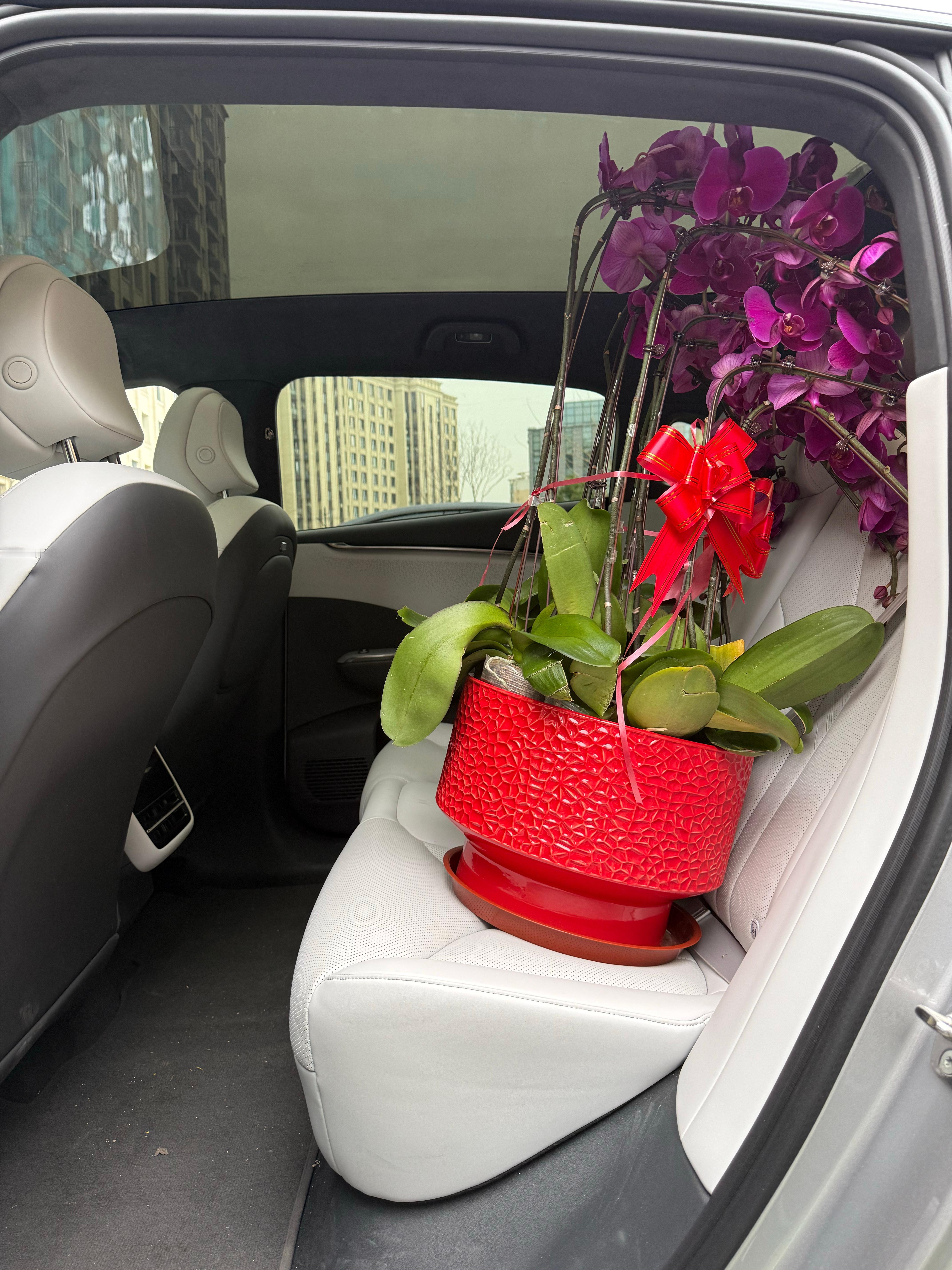 要不怎么说空间很重要呢这要系安全带吧