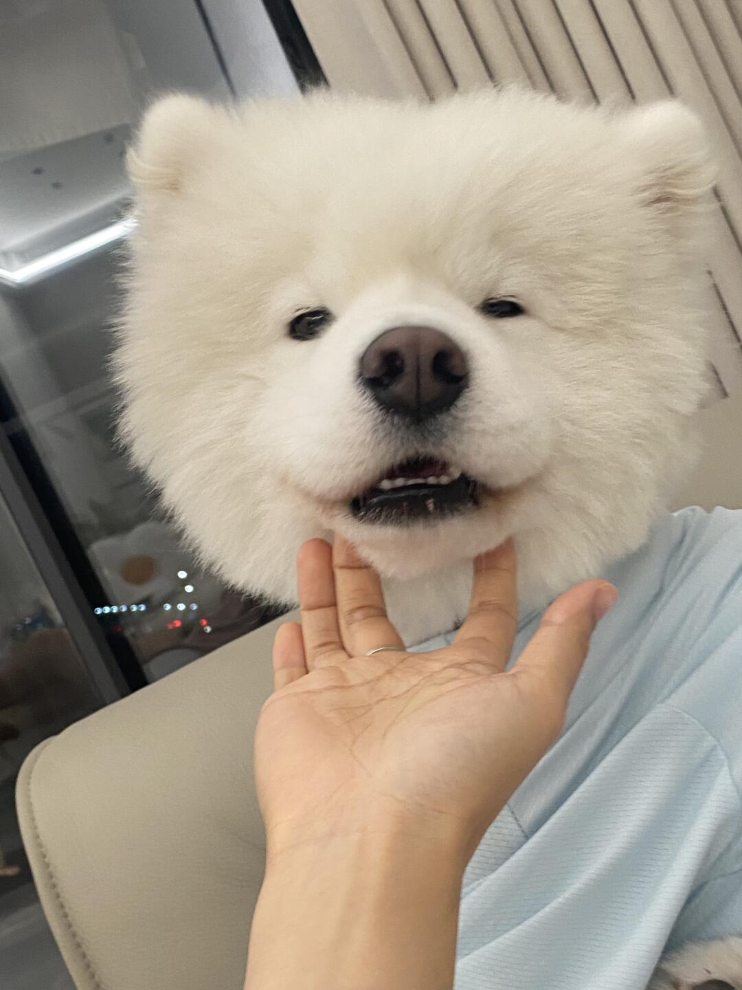 剃了毛之后 头更大了 宝宝
