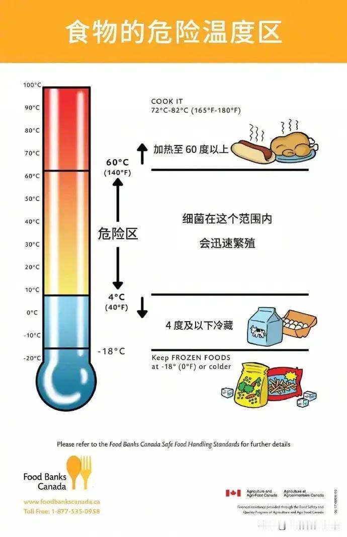 一直以为剩菜要放凉了才能进冰箱，没想到这竟是厨房里流传最广的夺命偏方说出来大