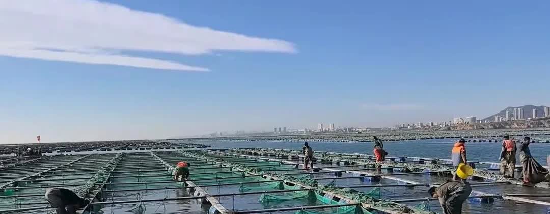 哥伦比亚总统5月12日访华之后，美国不准国际贷款机构向在哥伦比亚境内的中国企业发