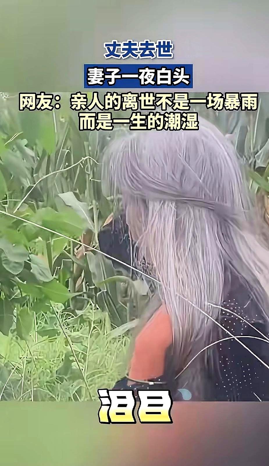 当一个家在夜里塌陷，并不是电视剧那种慢动作。前阵子合肥的宋某吸毒上瘾，老父亲当