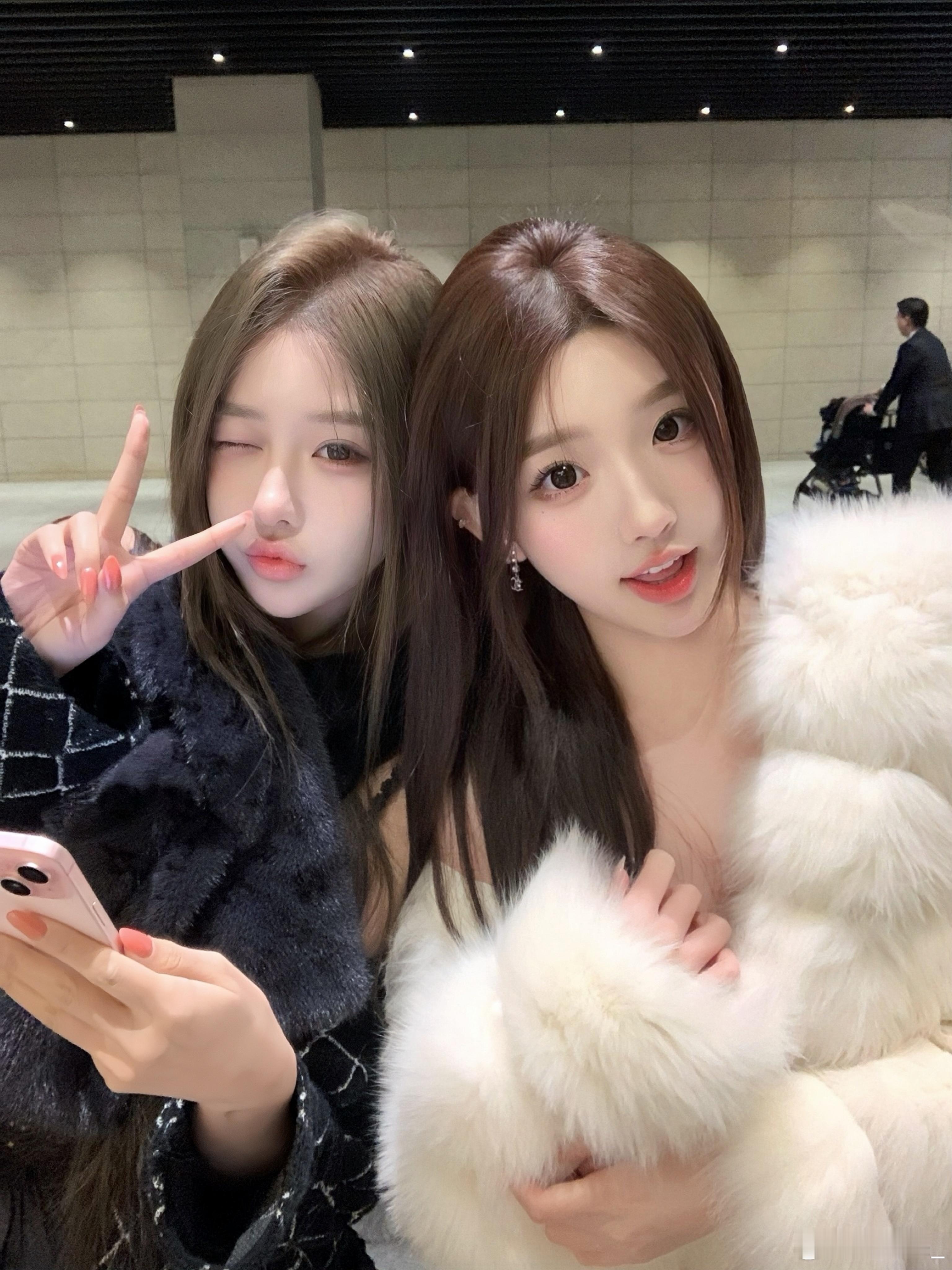 喊了两天菲菲的猪头总算是出片了