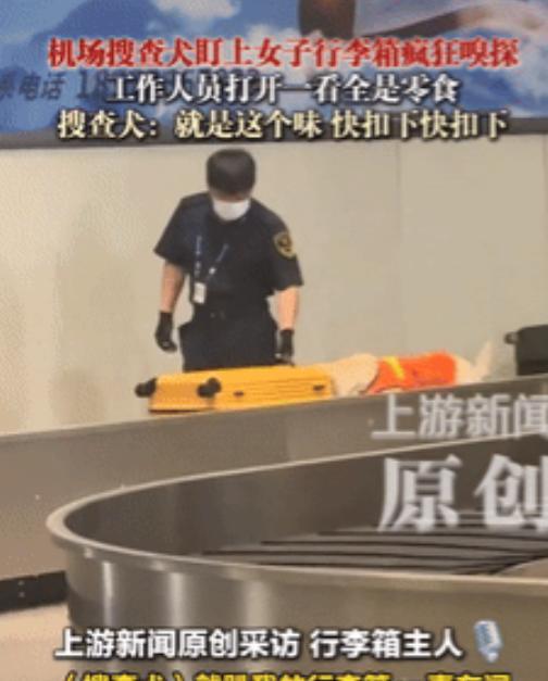 万万没想到！天津，一女子过机场安检时，搜查犬突然盯上她的行李箱，开始疯狂嗅探，工