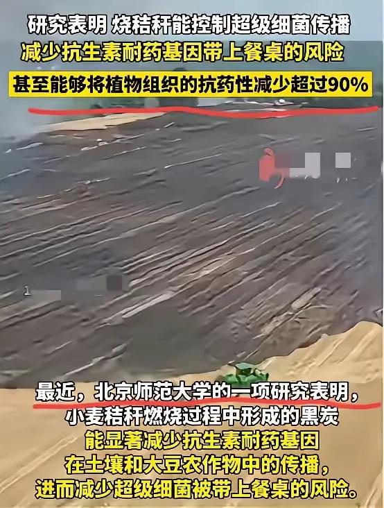 我什么都不想说了。大家自己看！！