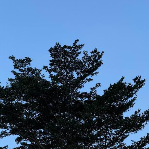 同一天  五位70后博士赴（在）四省份履新 11月27日，五位70后博士赴