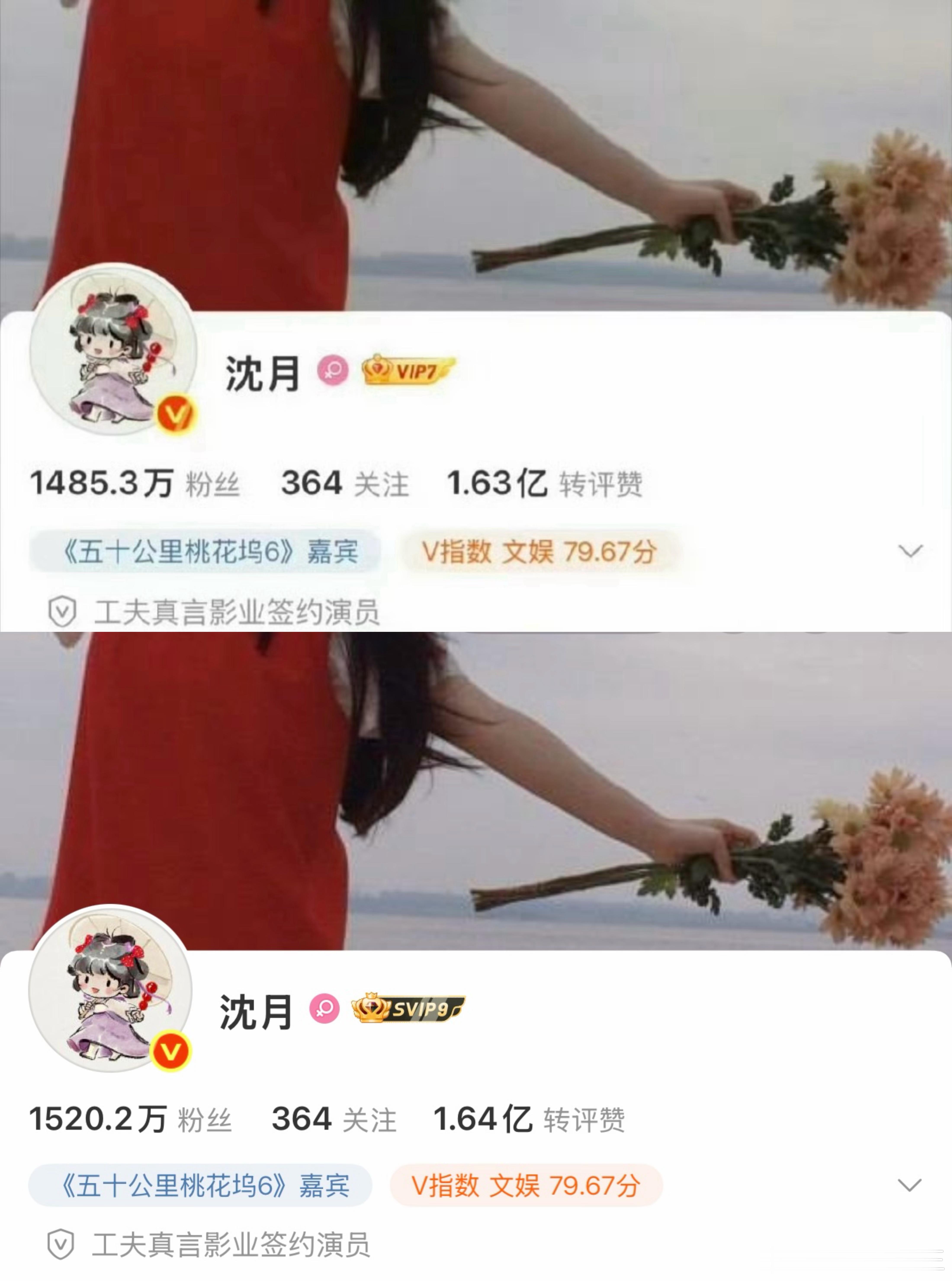 王鹤棣掉粉超过20万了，沈月则大涨35万了。王鹤棣团队的每一次发言，相当于都在为