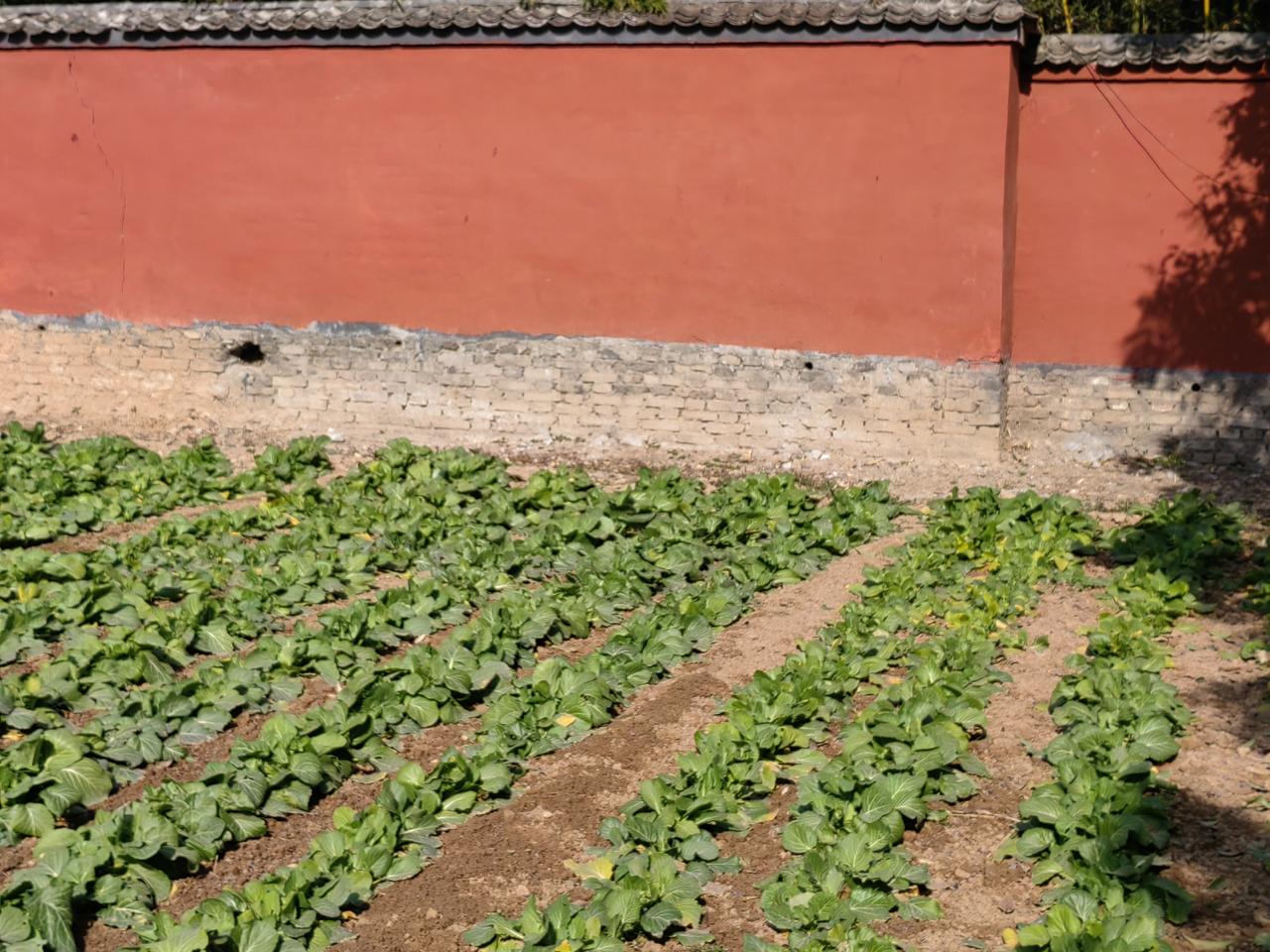 都说明朝实际亡于万历，却不知道万历心里也苦啊！皇长子朱常洛是王宫女生的，王宫女