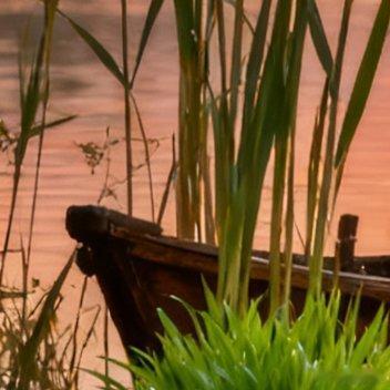 追过日出等过晚霞，卸下相机，今夜要和星月一起安然入梦。