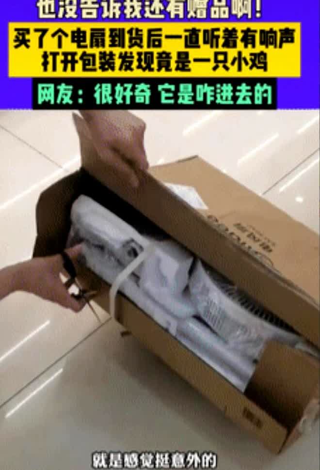 “意外的惊喜！”黑龙江一女子网购一台电风扇，到货后听到包装箱内有异响，谁料，将箱