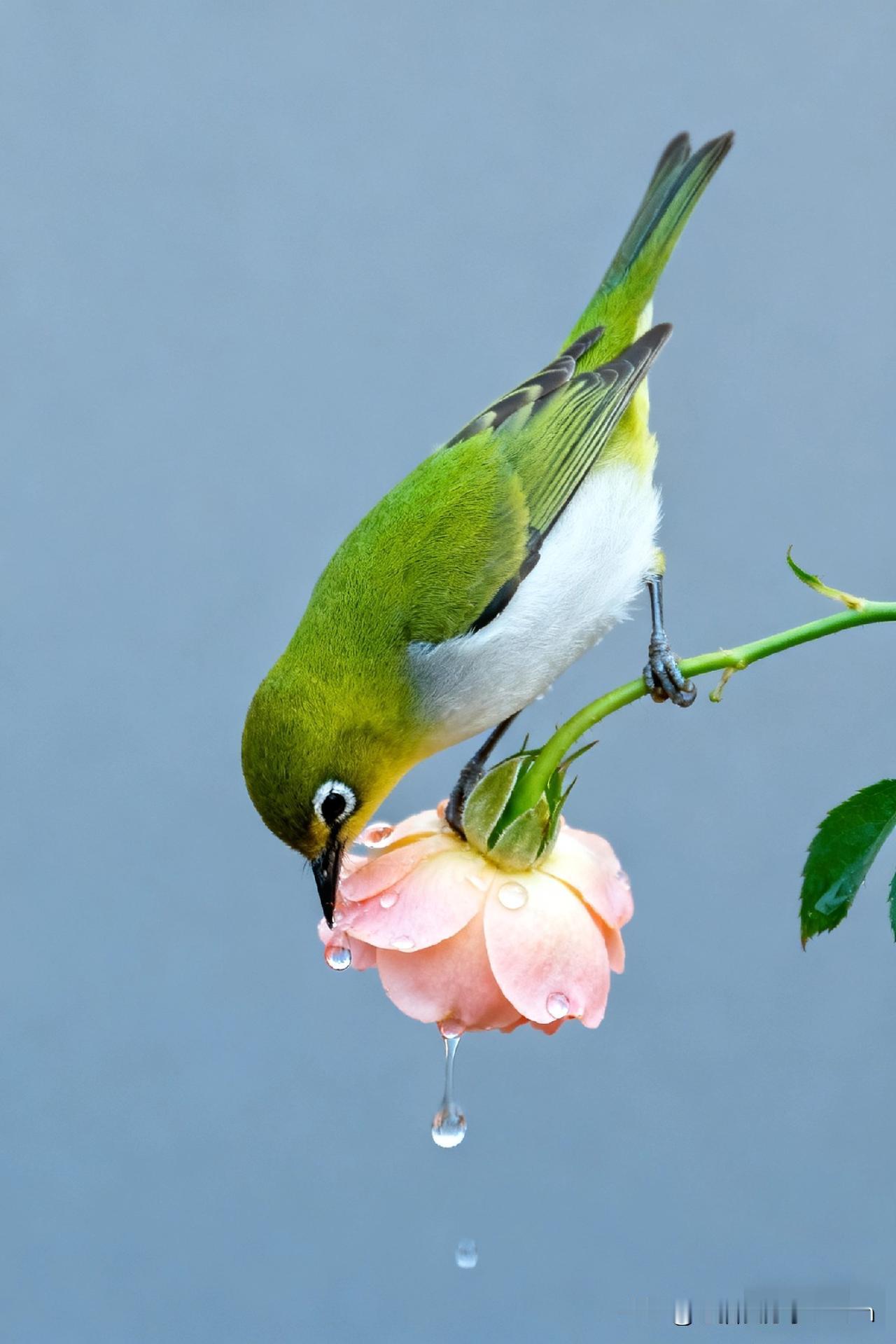 戳心真相！低认知者为啥把自尊心当命？有些人承认个错误，简直就是要他命！