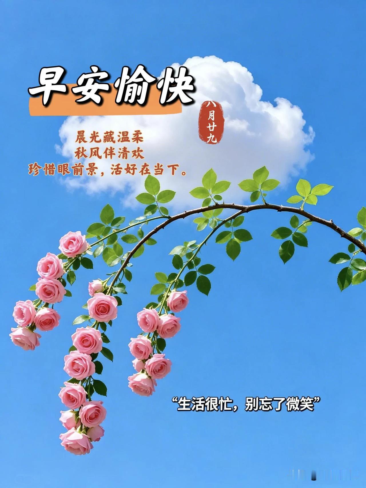 晨起遇繁花，心中存温柔，愿日日舒心，岁岁安康。