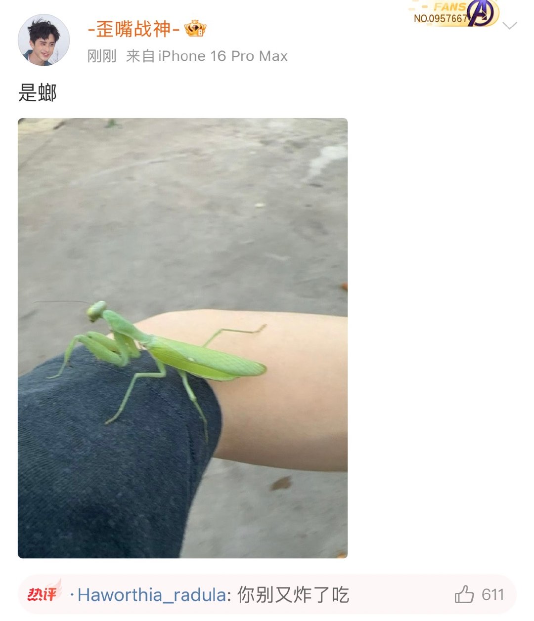 敖瑞鹏是螂敖瑞鹏晒螳螂敖瑞鹏你真的什么都不怕啊，好大的一个螳螂​​​