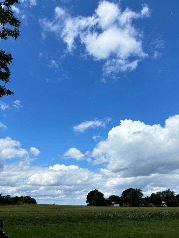 张婧仪海岛度假plog张婧仪草帽小雏菊张婧仪笨蛋囤囤鼠，24年的照片26年才发