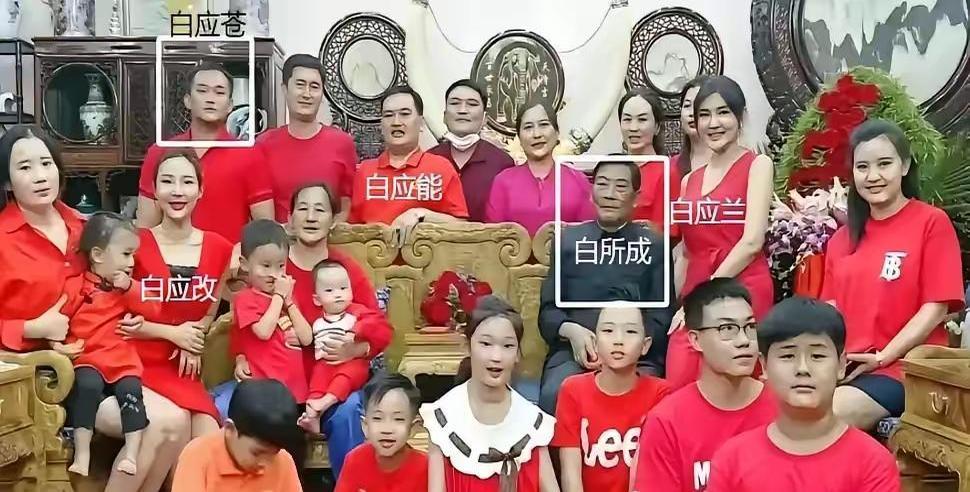 缅北白家集团并没有被彻底抓完。图一里的白所成和白应苍，都已经没了，但是白家集