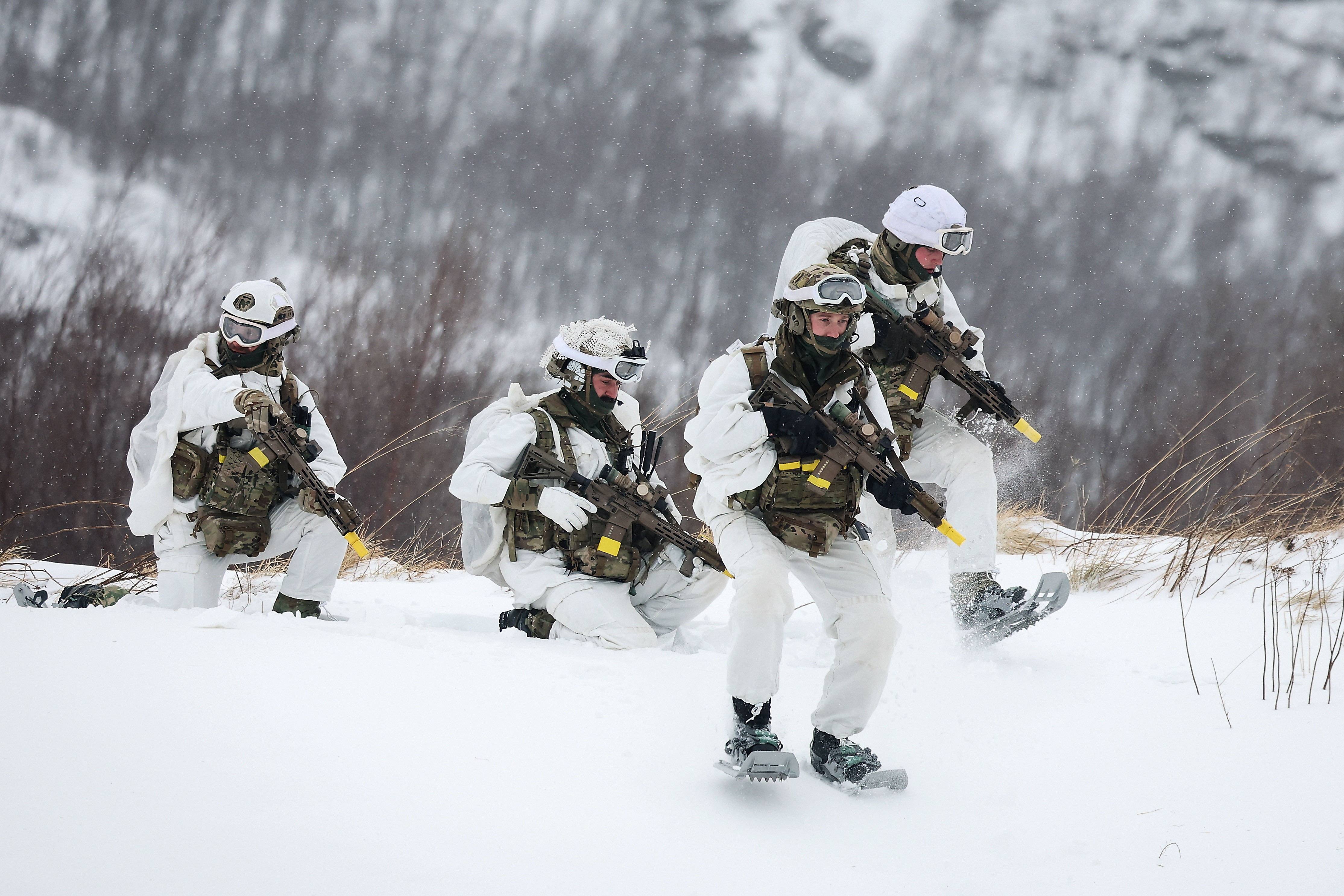 英国皇家海军陆战队突击队在挪威进行极地训练（1）烽火问鼎计划