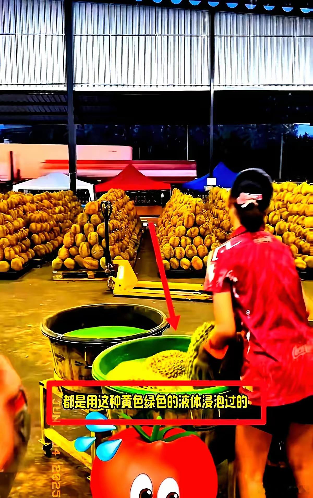 我有种预感，泰国榴莲这场风波比想象中的要棘手！​跟泰国果农唠嗑才知道，有些批发商