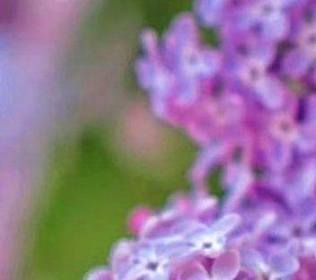 术正而心顺之，则形相虽恶而心术善，无害为君子也;形相虽善而心术恶，无害为小人也。