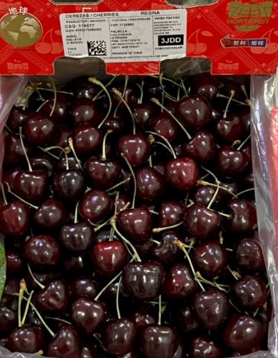 65.5万吨智利车厘子运往中国，好像这车厘子专为中国人种植的，为什么智利当地人不