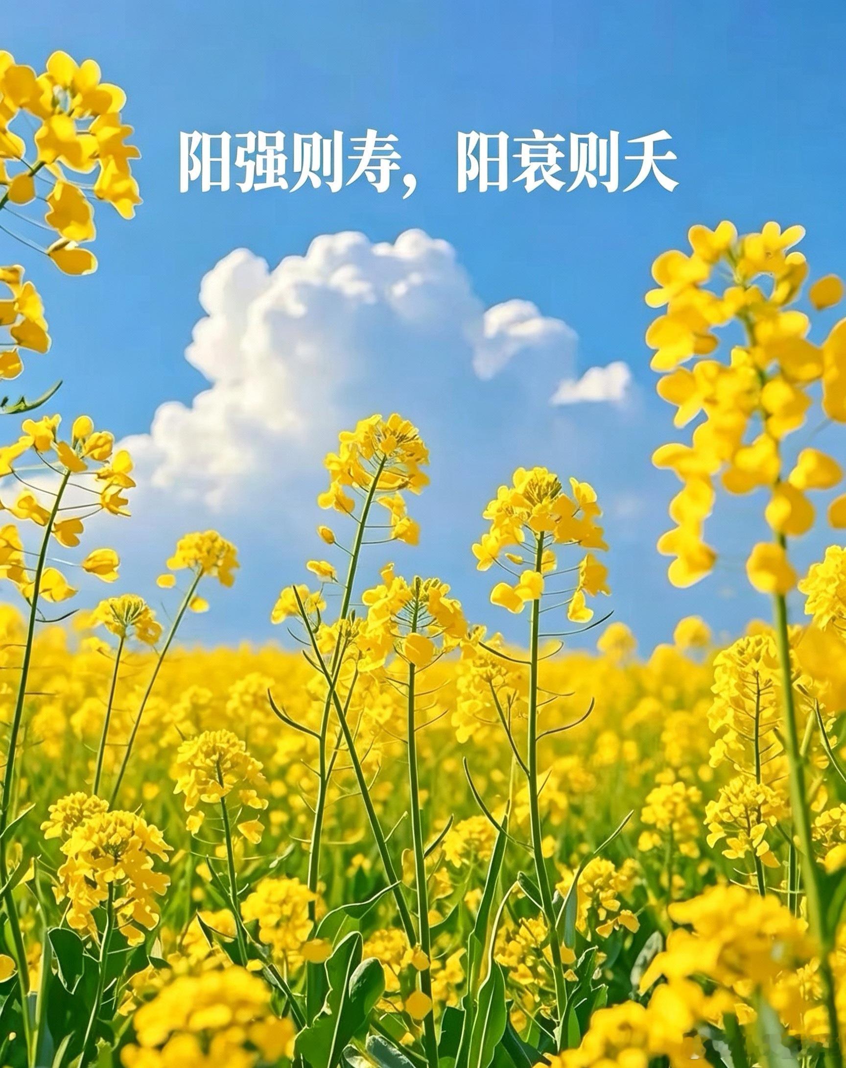 懂了这个治湿法门，才明白中医的“升降”有多妙你可能听过这样一句经验之谈：用二陈汤