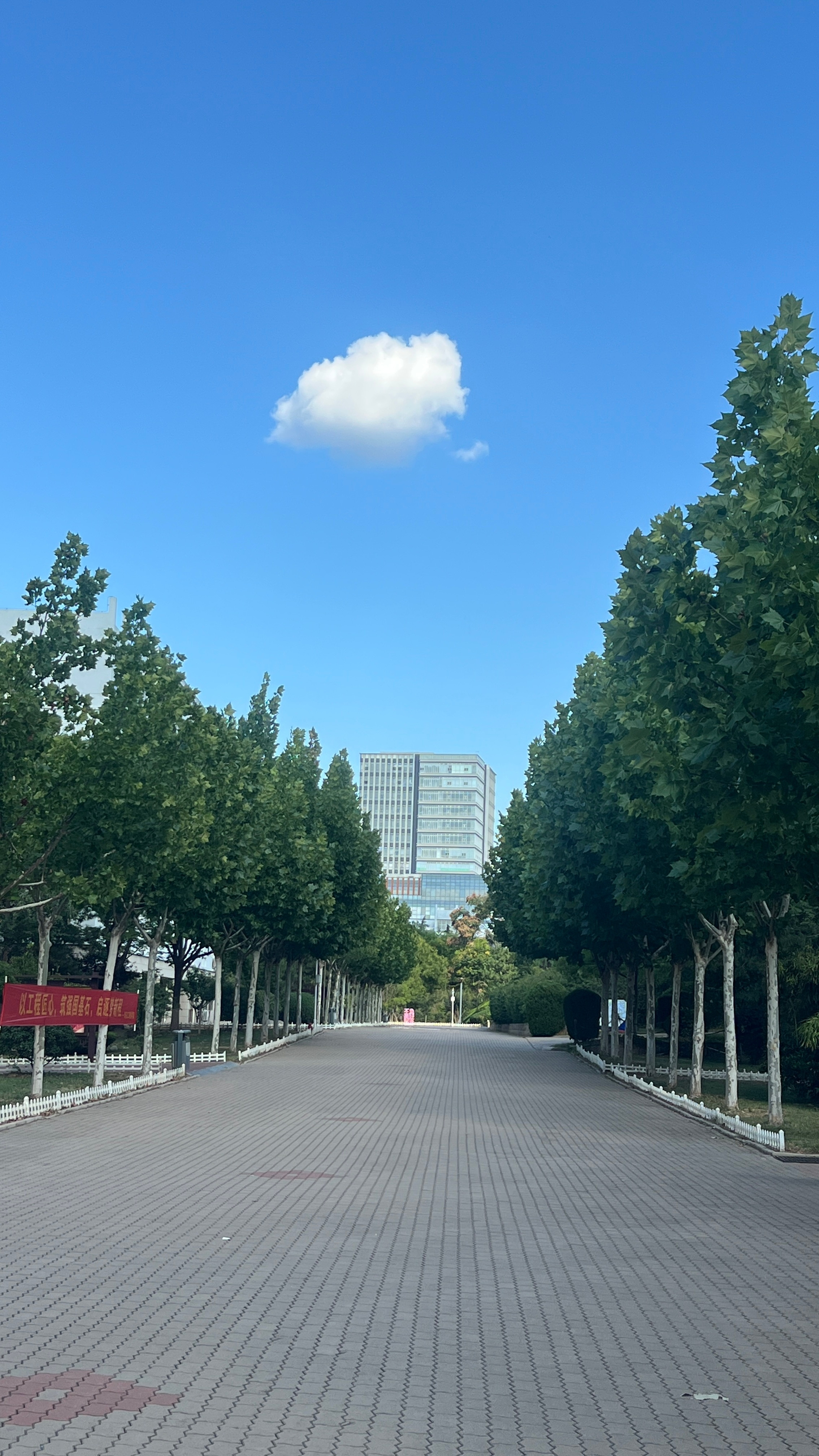 图一的云好像图二小狗的背影不过是跑起来的​​​