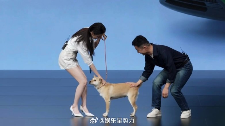 陈都灵聊宠物出行太共情了没有刻意的煽情，只有真实的共鸣。陈都灵聊起宠物出行的那