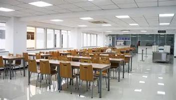 今天中午机关单位食堂特别安静，和往日热闹拥挤的样子完全不一样，没人闲聊、没人扎堆