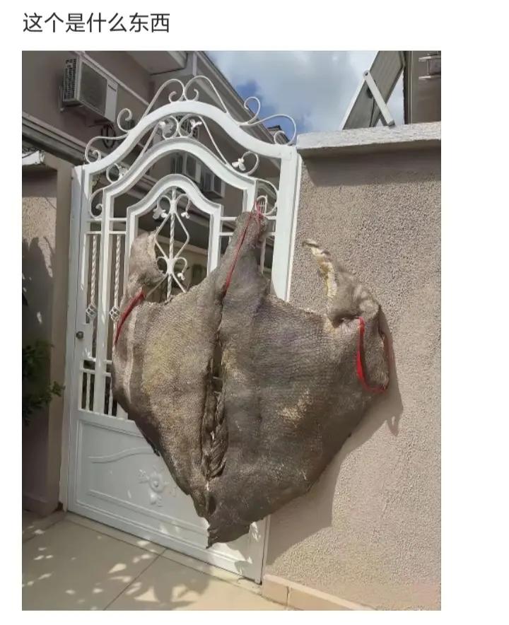 这个是什么东西