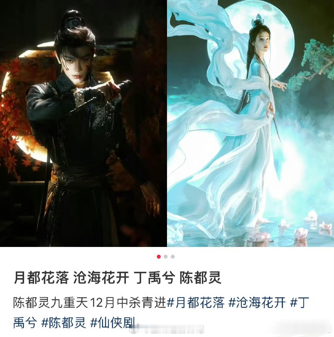 网传月都花落定的丁禹兮、陈都灵感觉有点假玩偶2月开机饼烂了是真的→_→