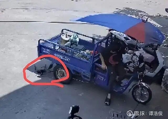 无人机落在店门口被店员倒车压坏机主要求索赔碰瓷吗