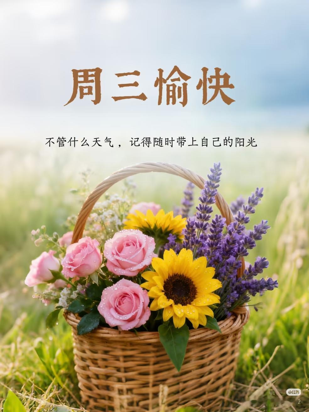 新的一天新的开始，认真走好每一步，不纠结昨天的对与错，不焦虑以后的变数，一切都在