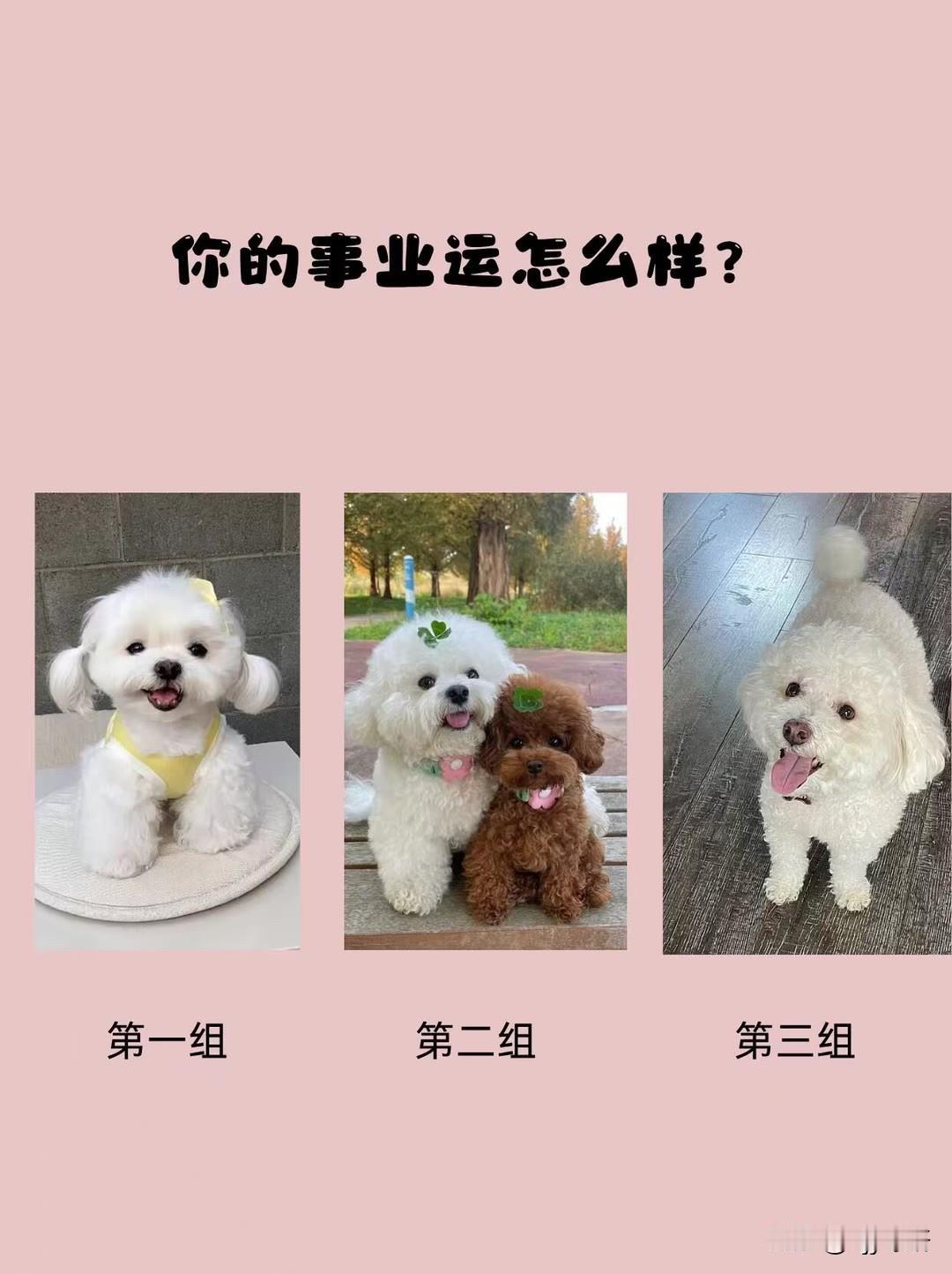 ?