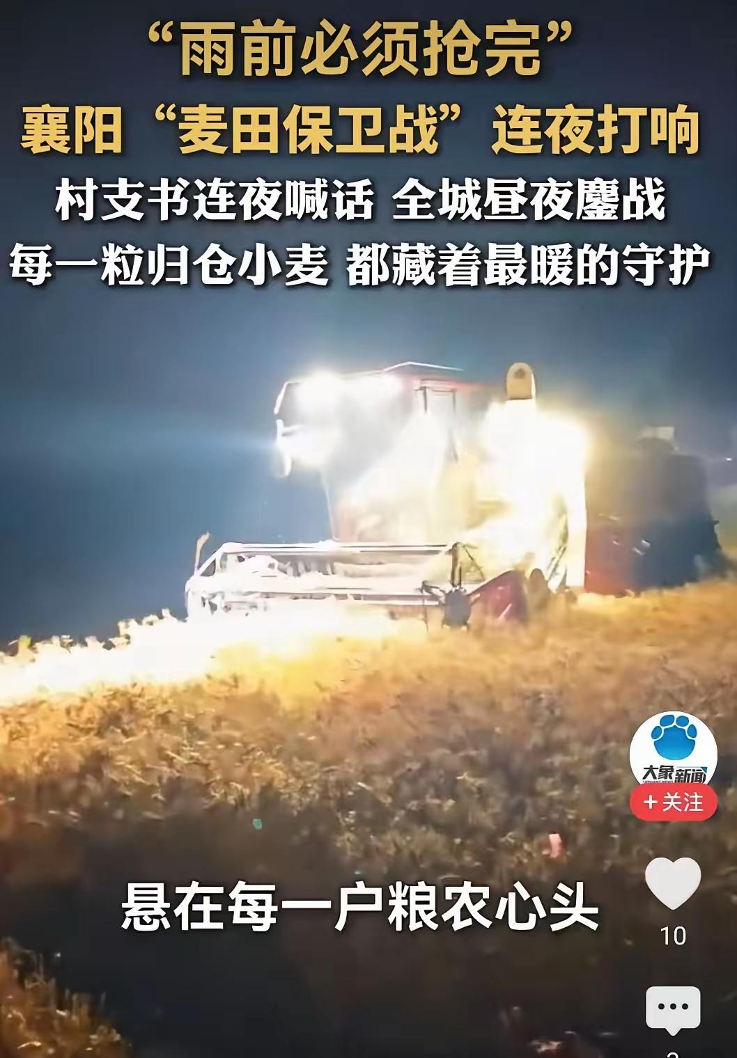有良心的收割机在哪？在襄阳的雨中抢粮的战役中，发生了一丢丢不愉快的事，都说是农