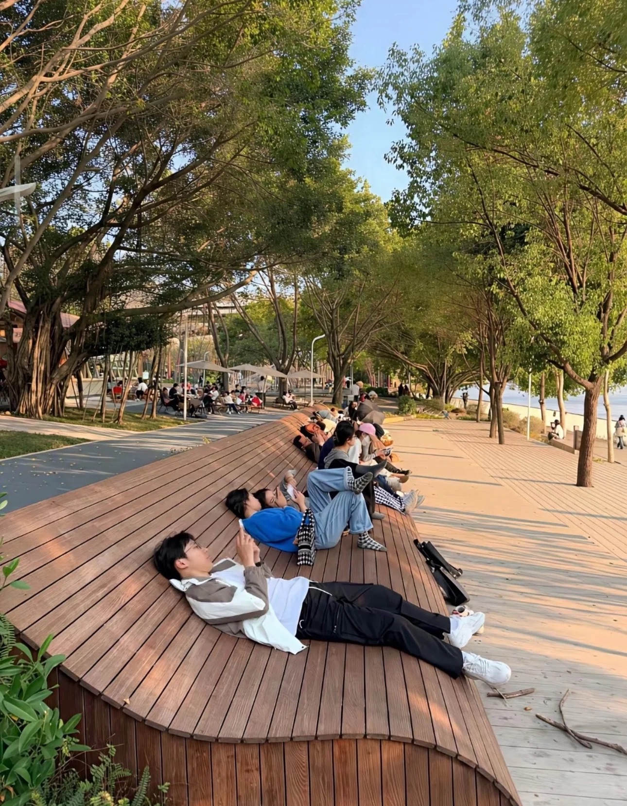 这个设计感觉可以，建议全国推广