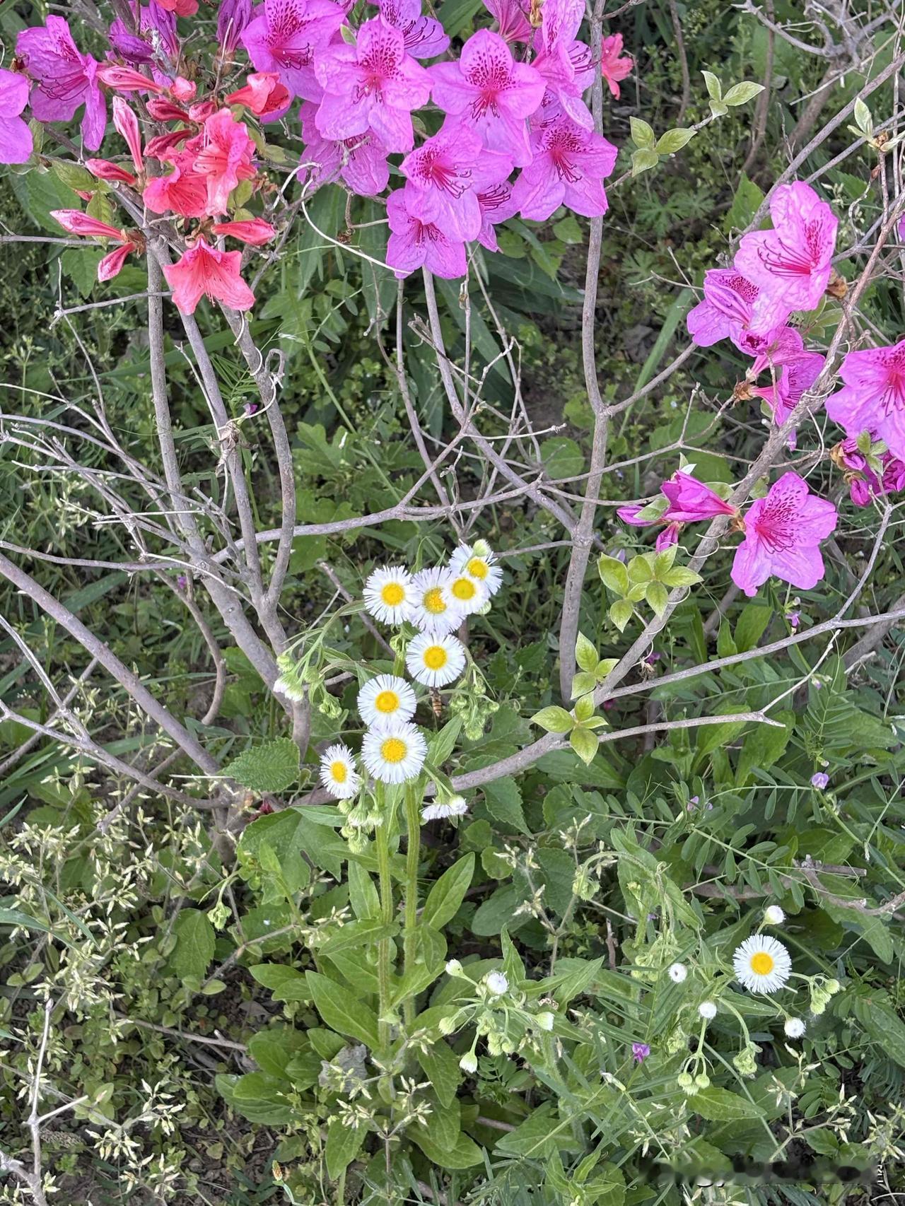 【俄乌交换阵亡士兵遗骸】在伊斯坦布尔协议框架内，俄乌双方11月20日进