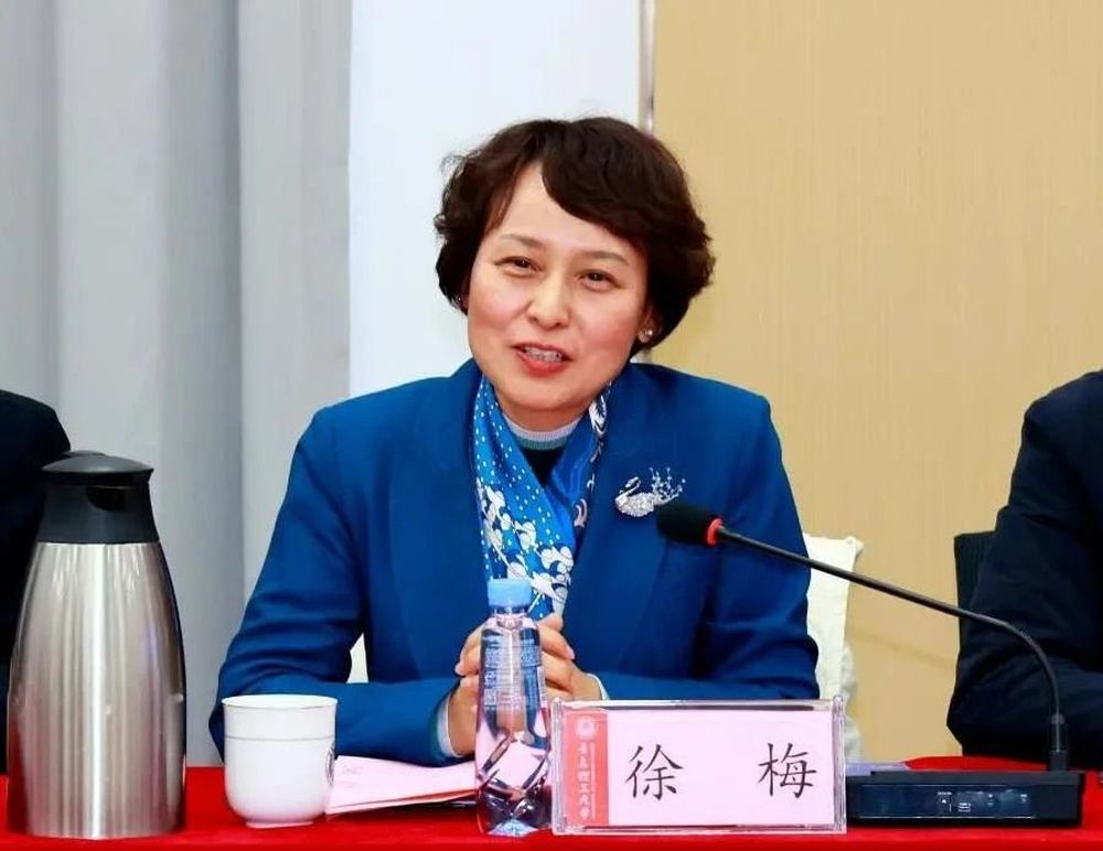 徐梅已任山东艺术学院党委书记