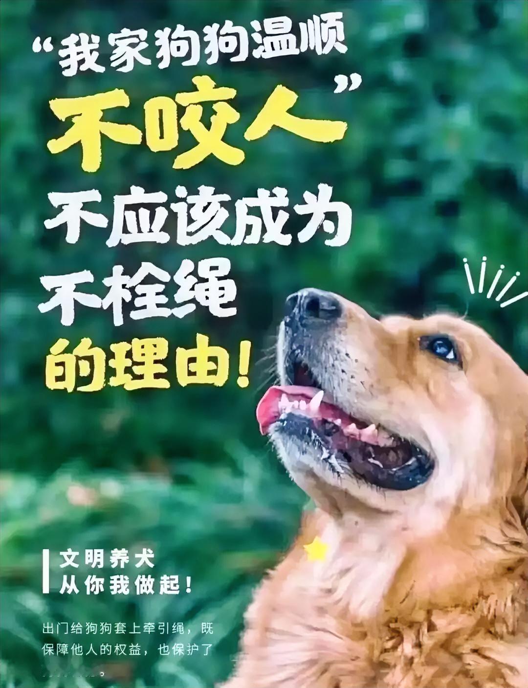 狗患何时休！不牵绳不戴嘴套凭啥让路人用安全买单？刷到太多因狗引发的悲剧真的