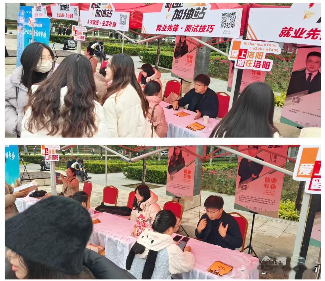 今天洛阳师范举办了2026年秋季双选会，我被人社局委派到洛阳师范进行就业指导，在