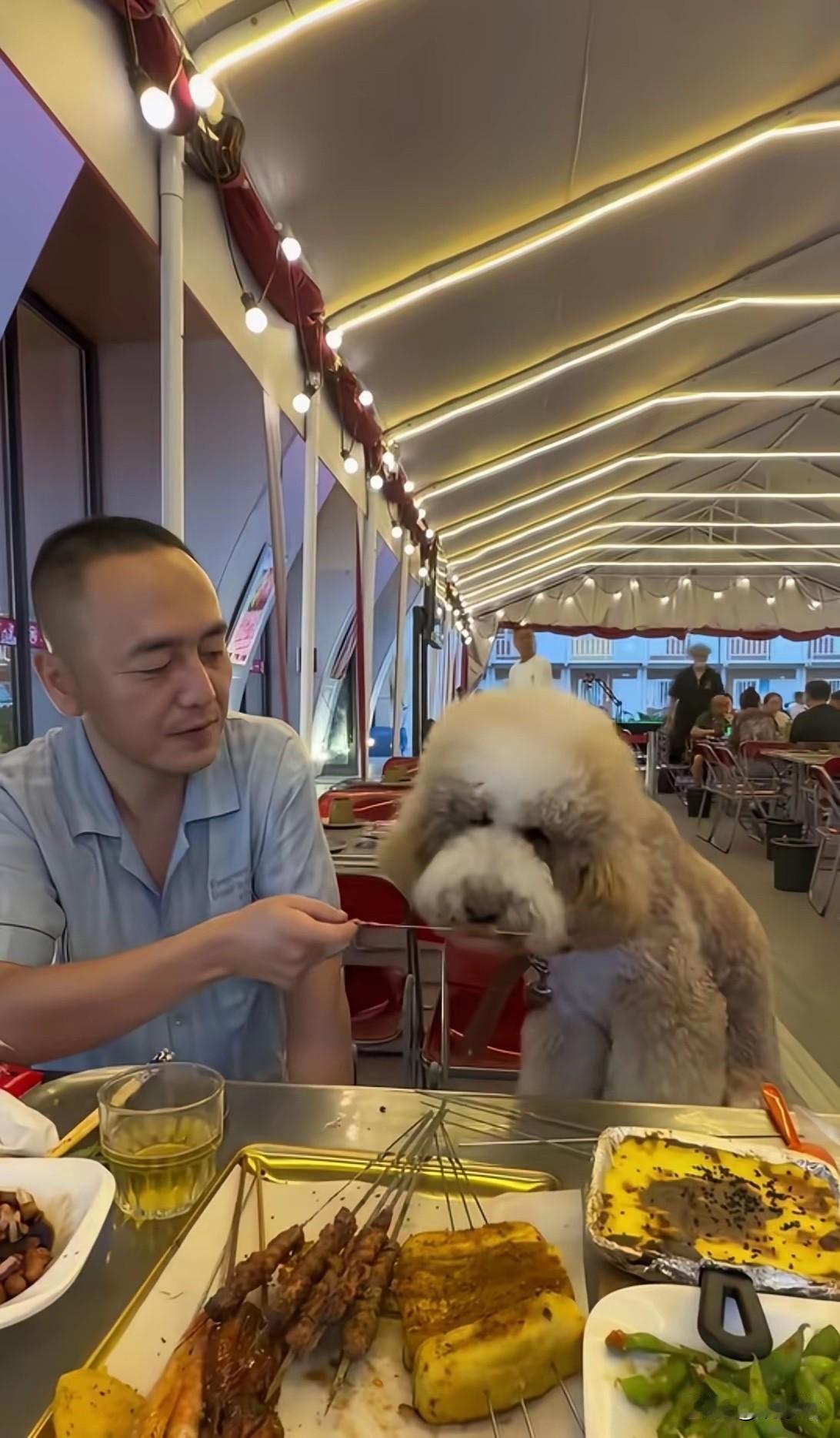 狗上餐桌人撸串，明知招烦偏要带！某些养狗人不是爱狗，是纯坏！看到这张照片，血
