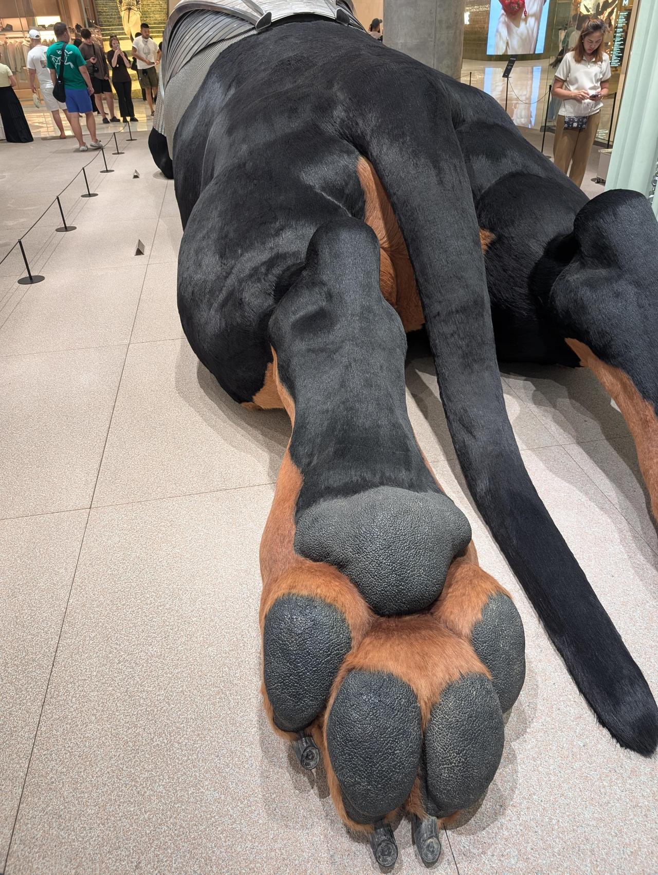 这是泰国曼谷IconSiam商场Tamburins店铺门口的一只巨型小狗雕塑，位