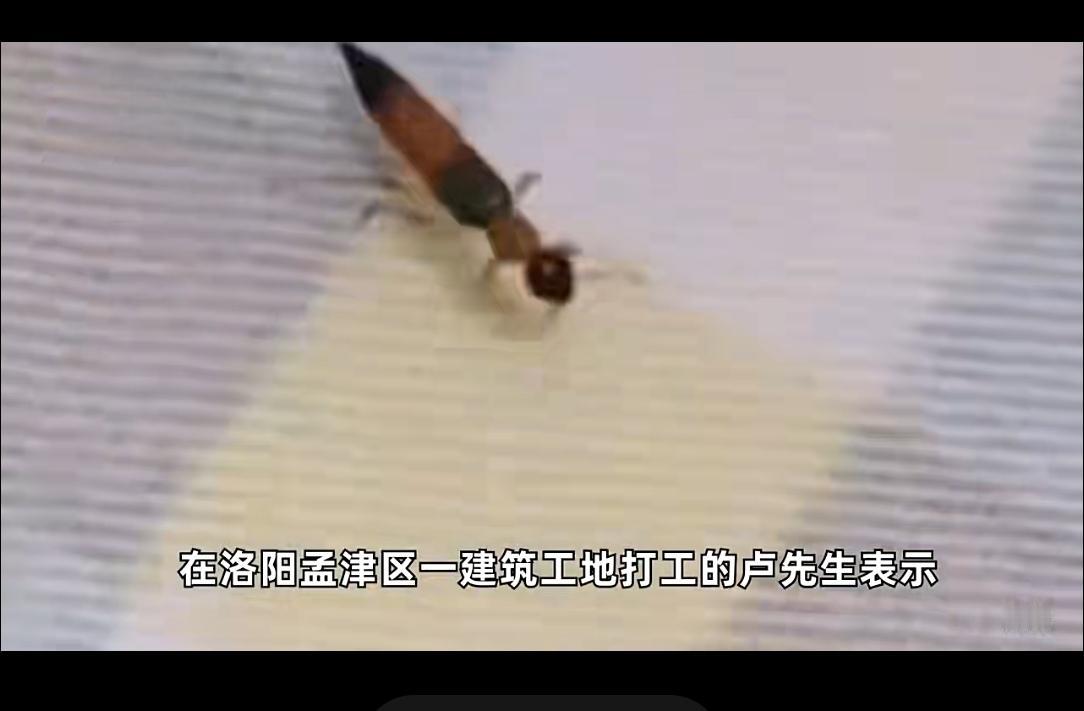 河南