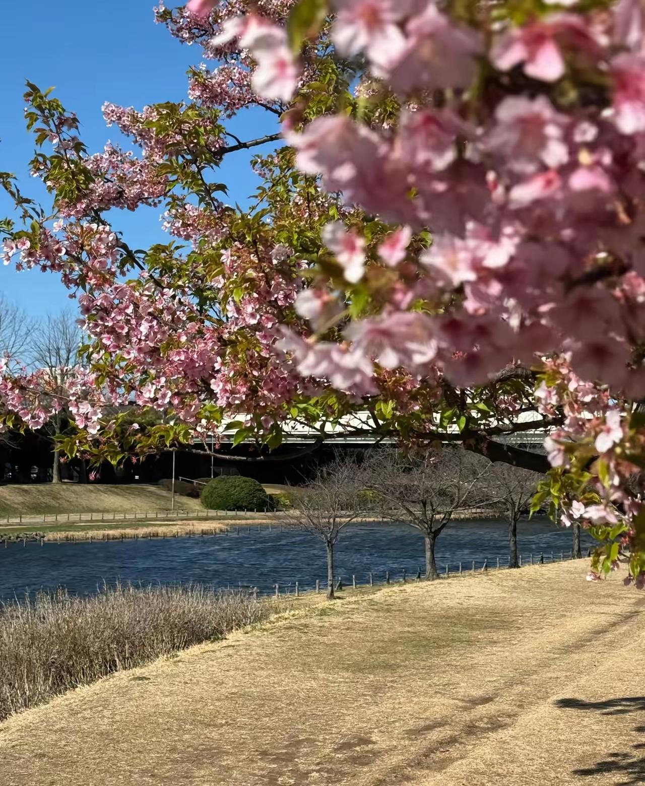 医生一句大实话：未来击垮80、90后的，不是房贷车贷，是疾病医生说得太现实