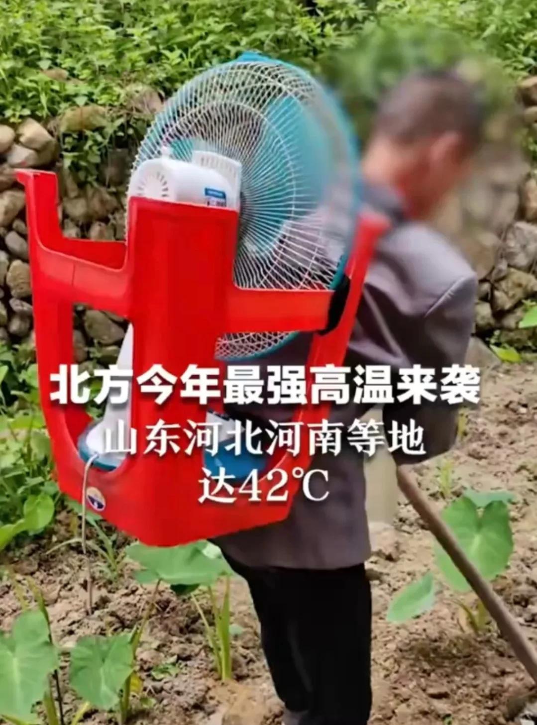 刚刚在河南洛阳生活的表妹和我说，她们河南已经不适合居住了！今天气温直飙43℃，出