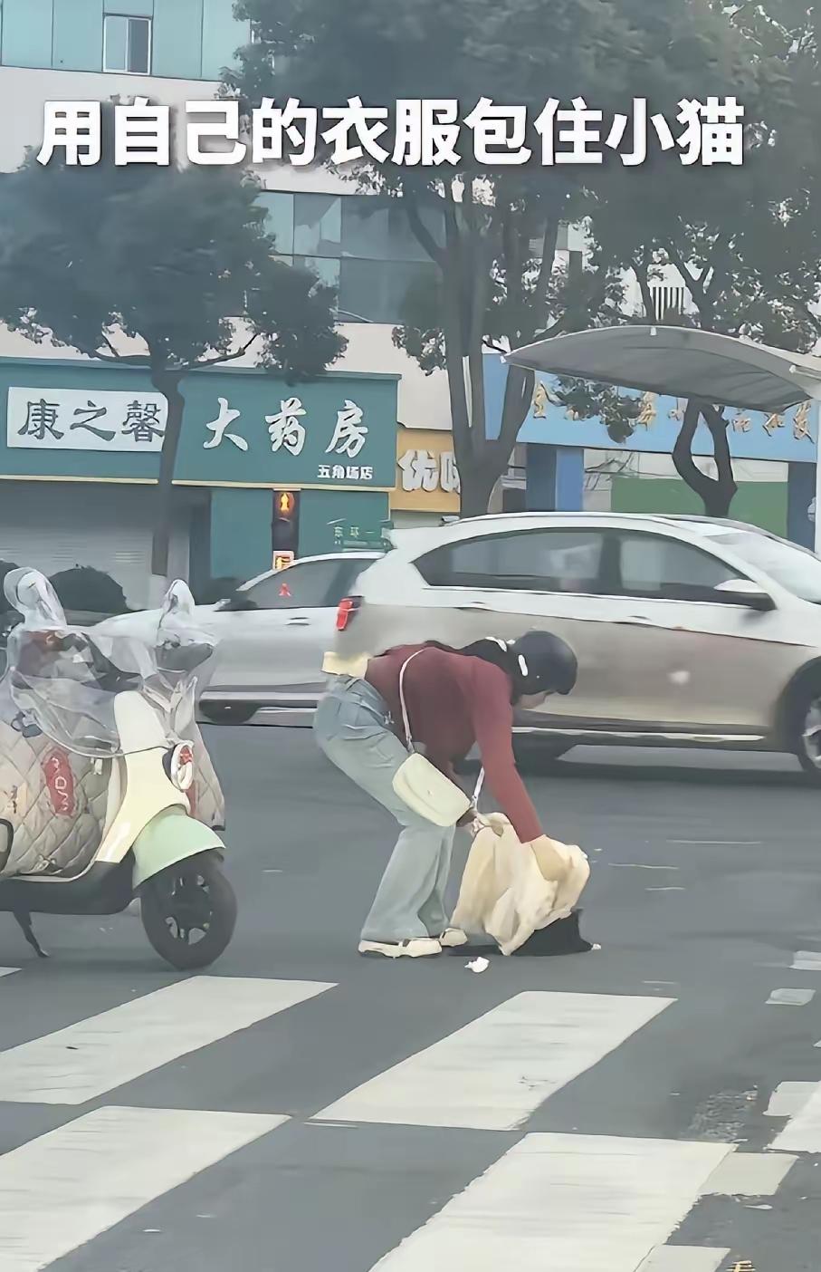 姑娘你上人民日报了！近日，江苏常州，一只流浪猫一瘸一拐在红绿灯路口爬行，眼看小