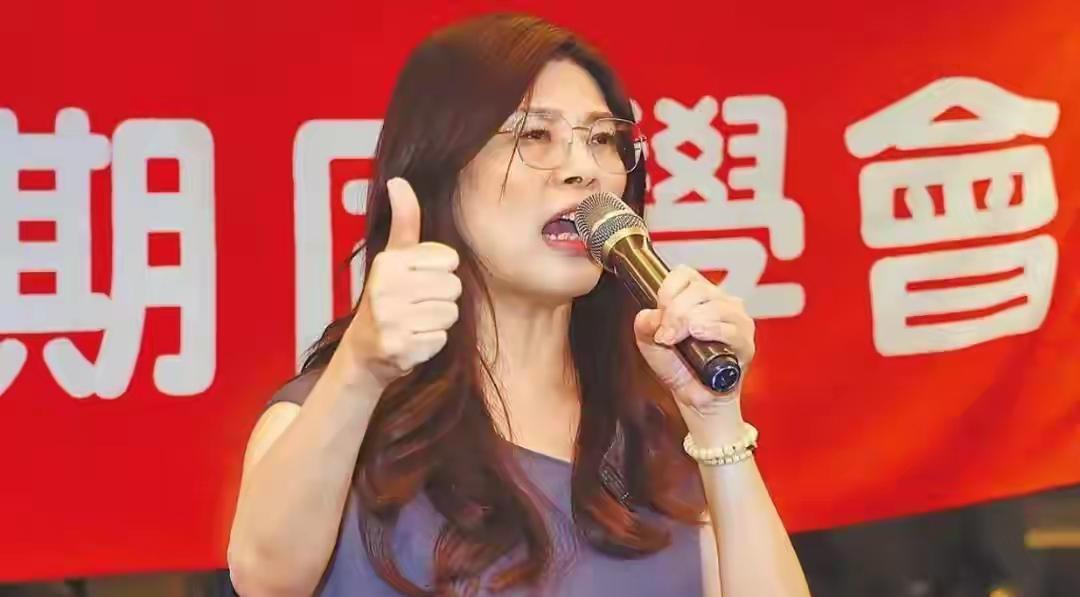 今非昔比，老眼光不能看新问题！近日，国民党内许多人支持赵少康参选国民党主席，大