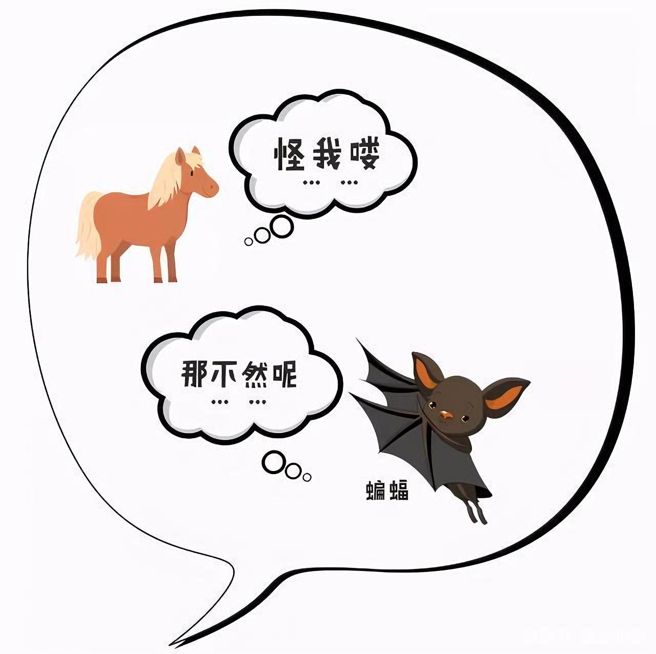 很多夫妻离婚不是因为出G而是毁在了“野马效应”上野马效应来源于一个真实的故